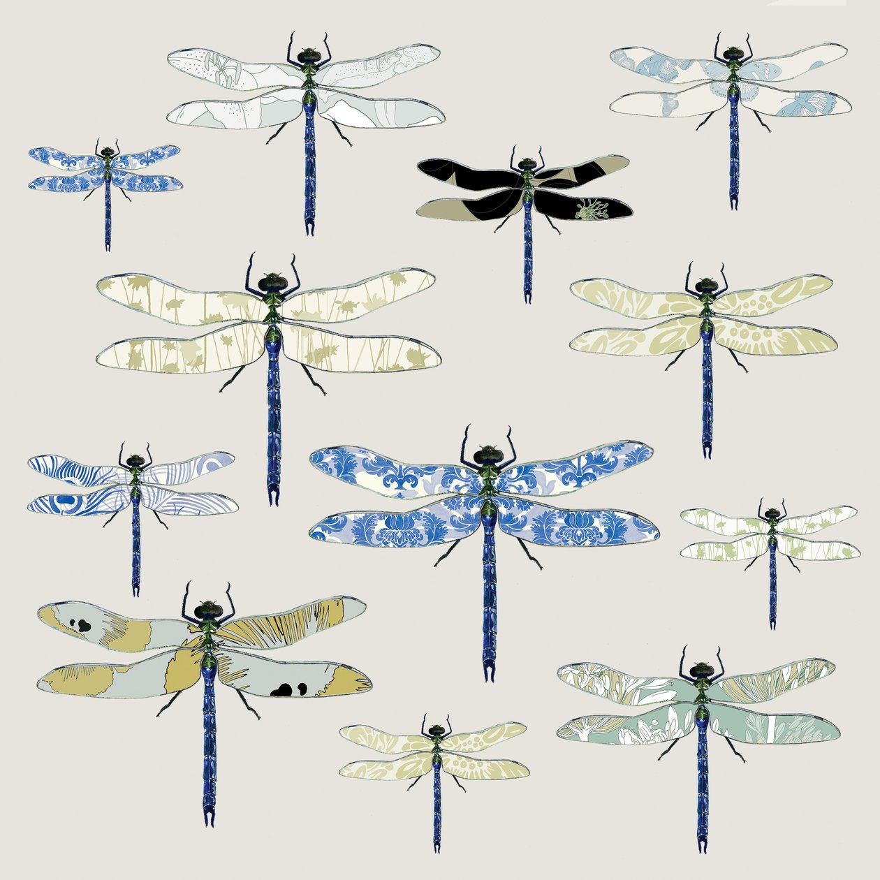 Odonata, 2008 (digital) de Sarah Hough