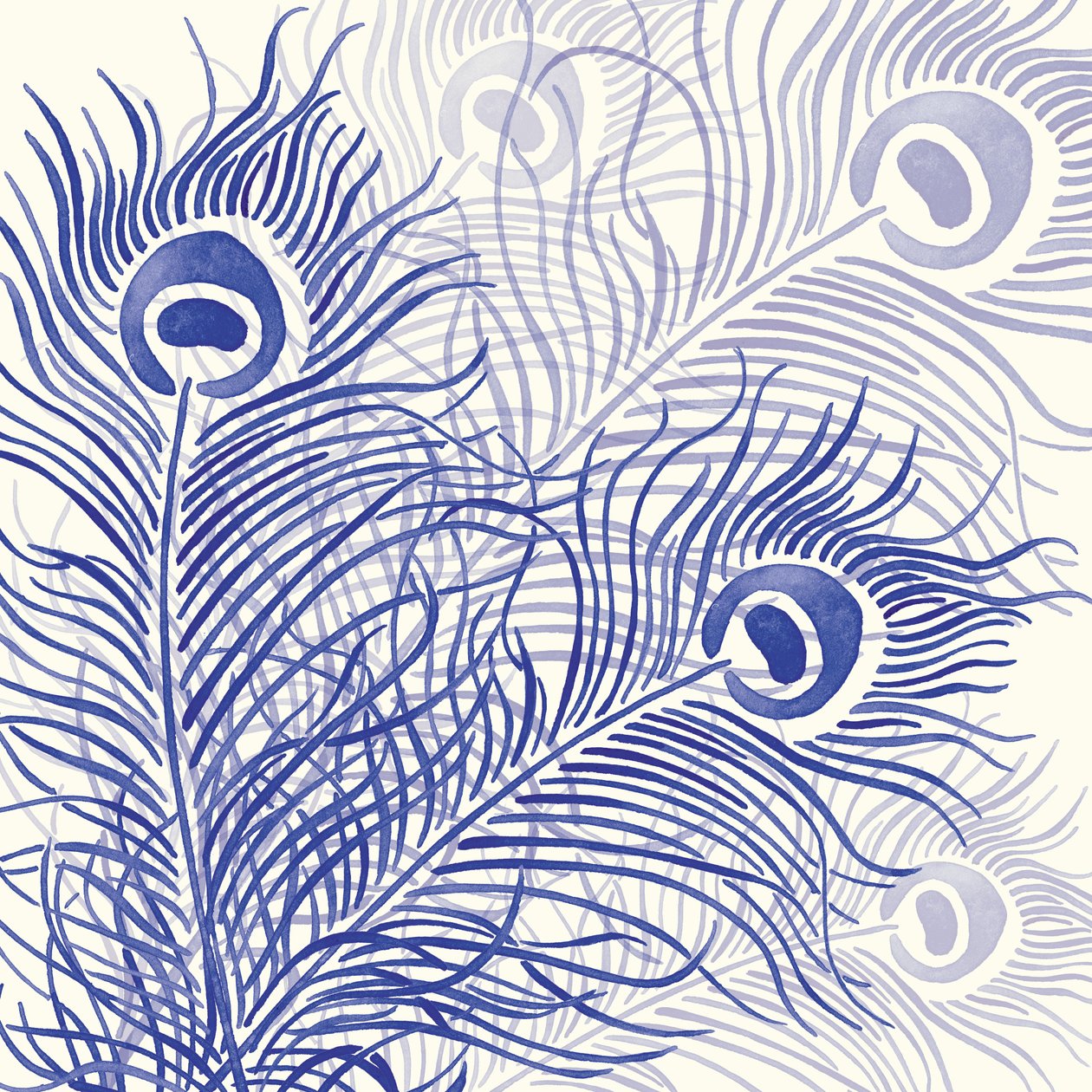 Pavão Parada, 2004 (digital) de Sarah Hough