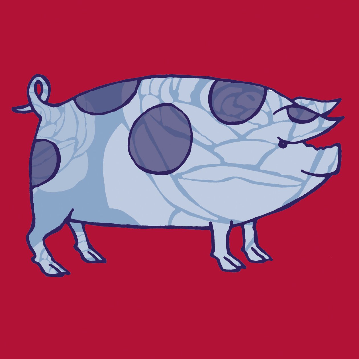 Piddle Valley Pig, 2005 (digital) de Sarah Hough