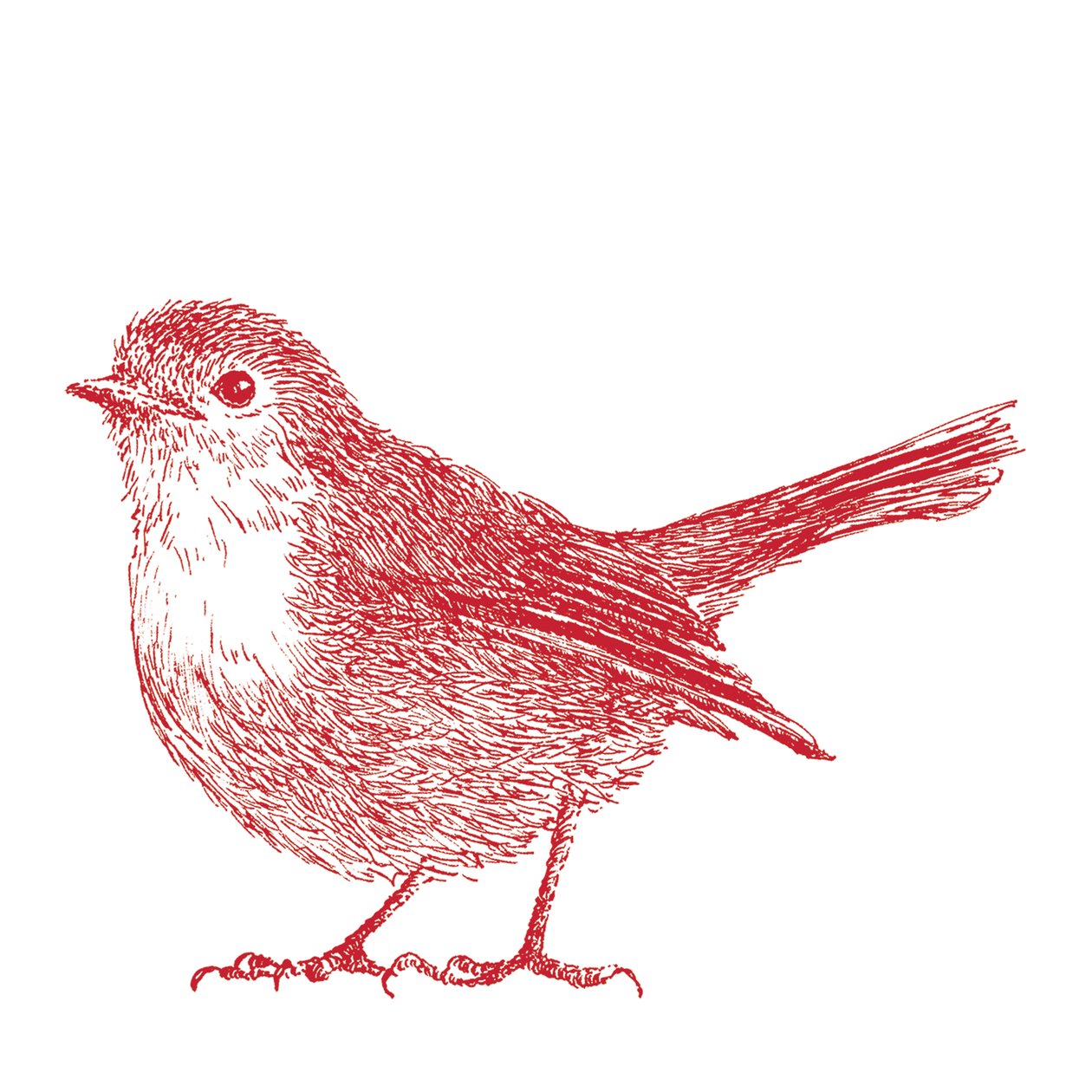Robin, 2017 de Sarah Hough