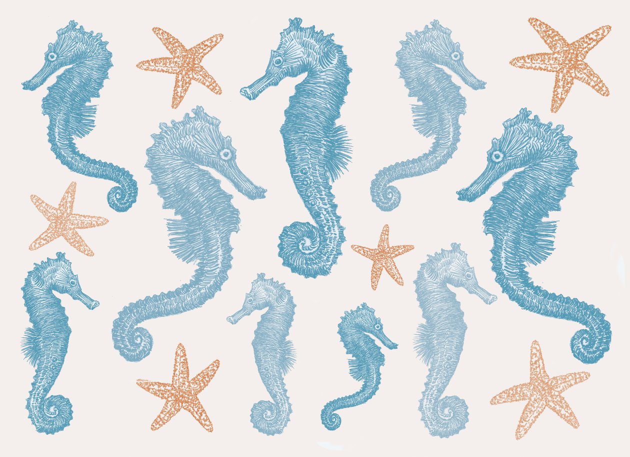 Cavalos marinhos e Estrela do Mar, 2017 de Sarah Hough