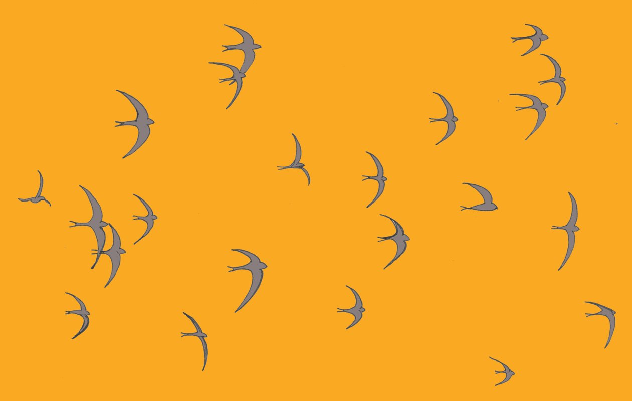 Swifts, 2017 de Sarah Hough