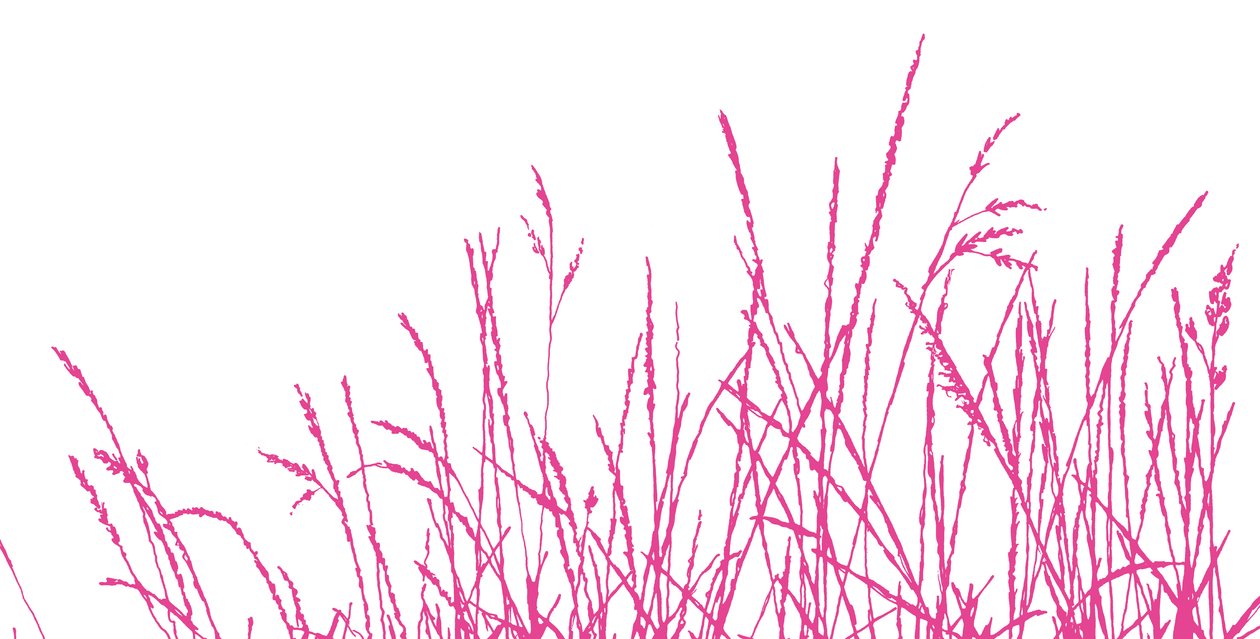 Wild Whisper, 2009 (digital) de Sarah Hough