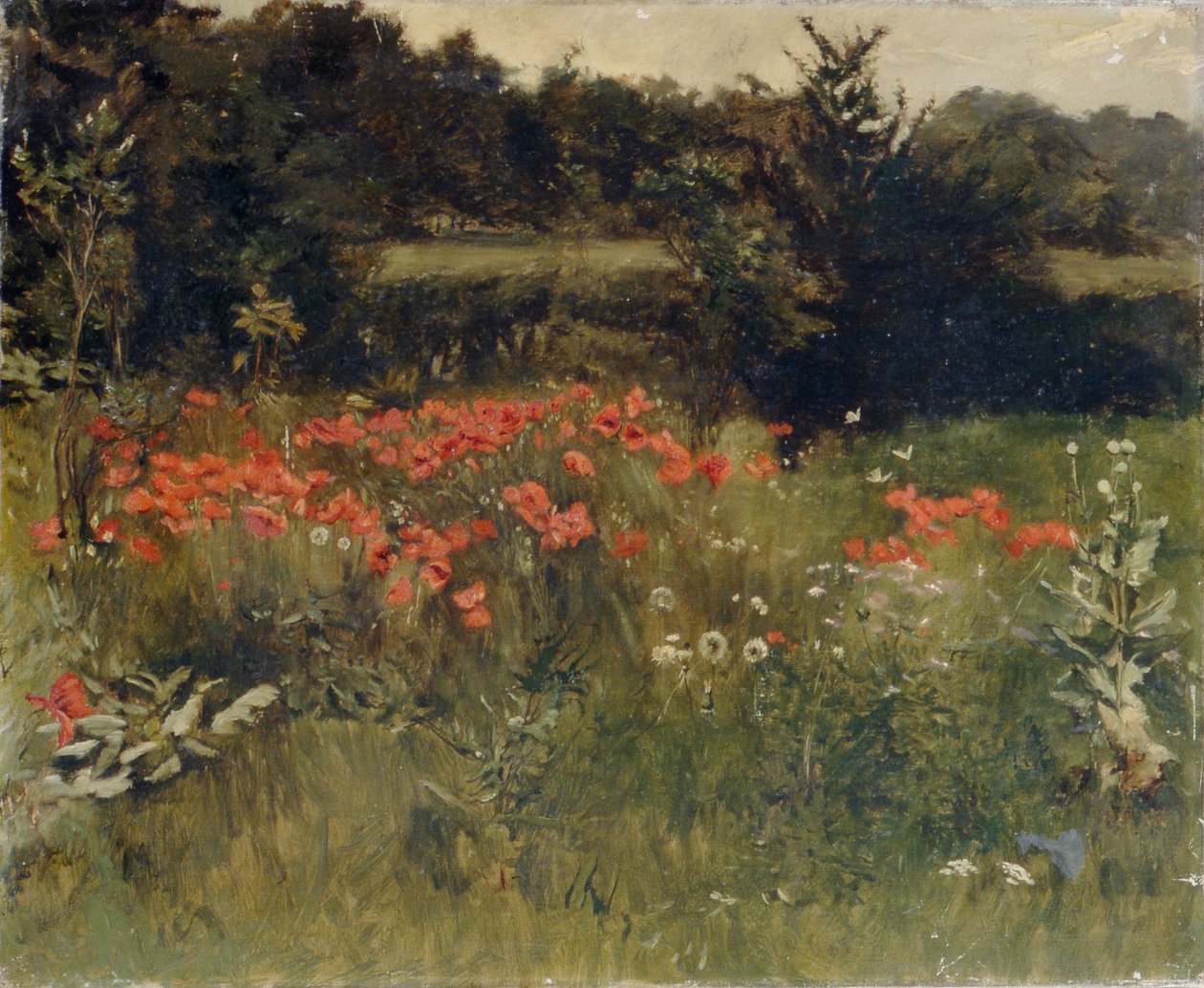 Papoilas, Reigate de Sarah Paxton Ball Dodson