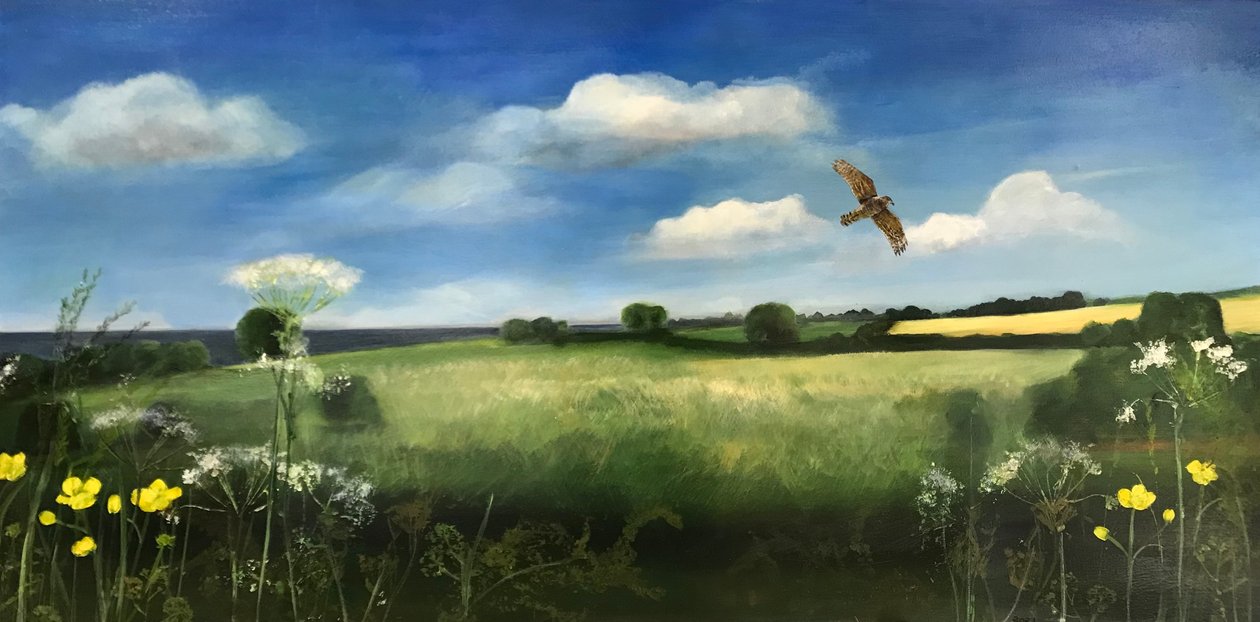 Buzzard, 2022 (óleo a bordo) de Sarah Thompson Engels