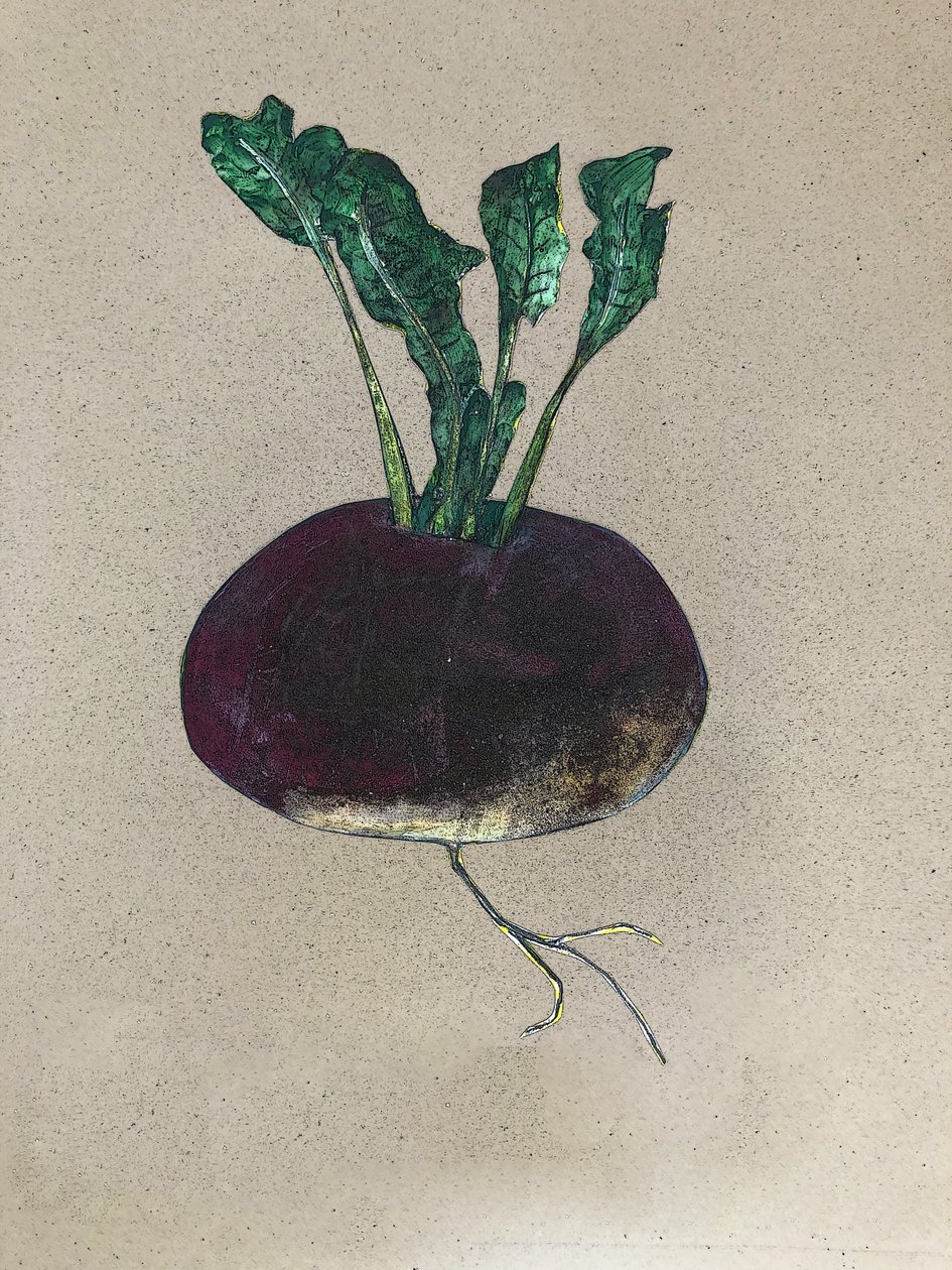 Nabo, 2024 (óleo sobre tela) de Sarah Thompson Engels