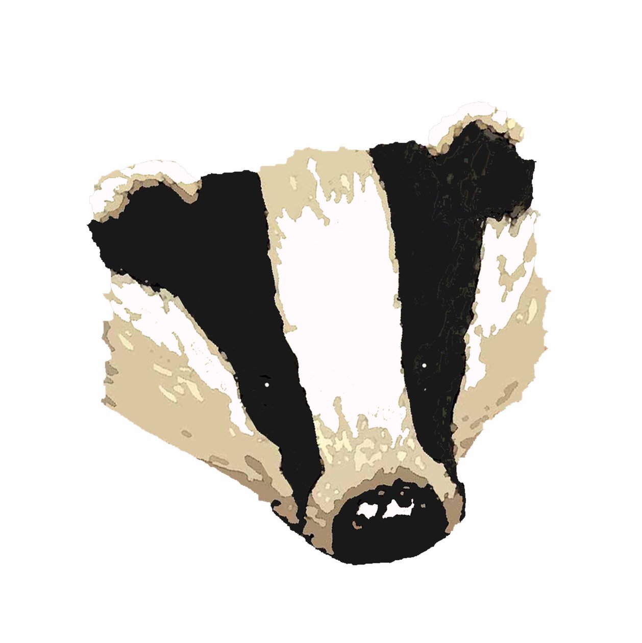 Badger,2018,(desenho digital) de Sarah Thompson Engels
