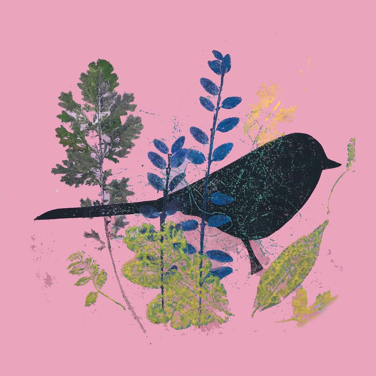 Ave e folhas,2019 (Tinta monoprint) de Sarah Thompson Engels