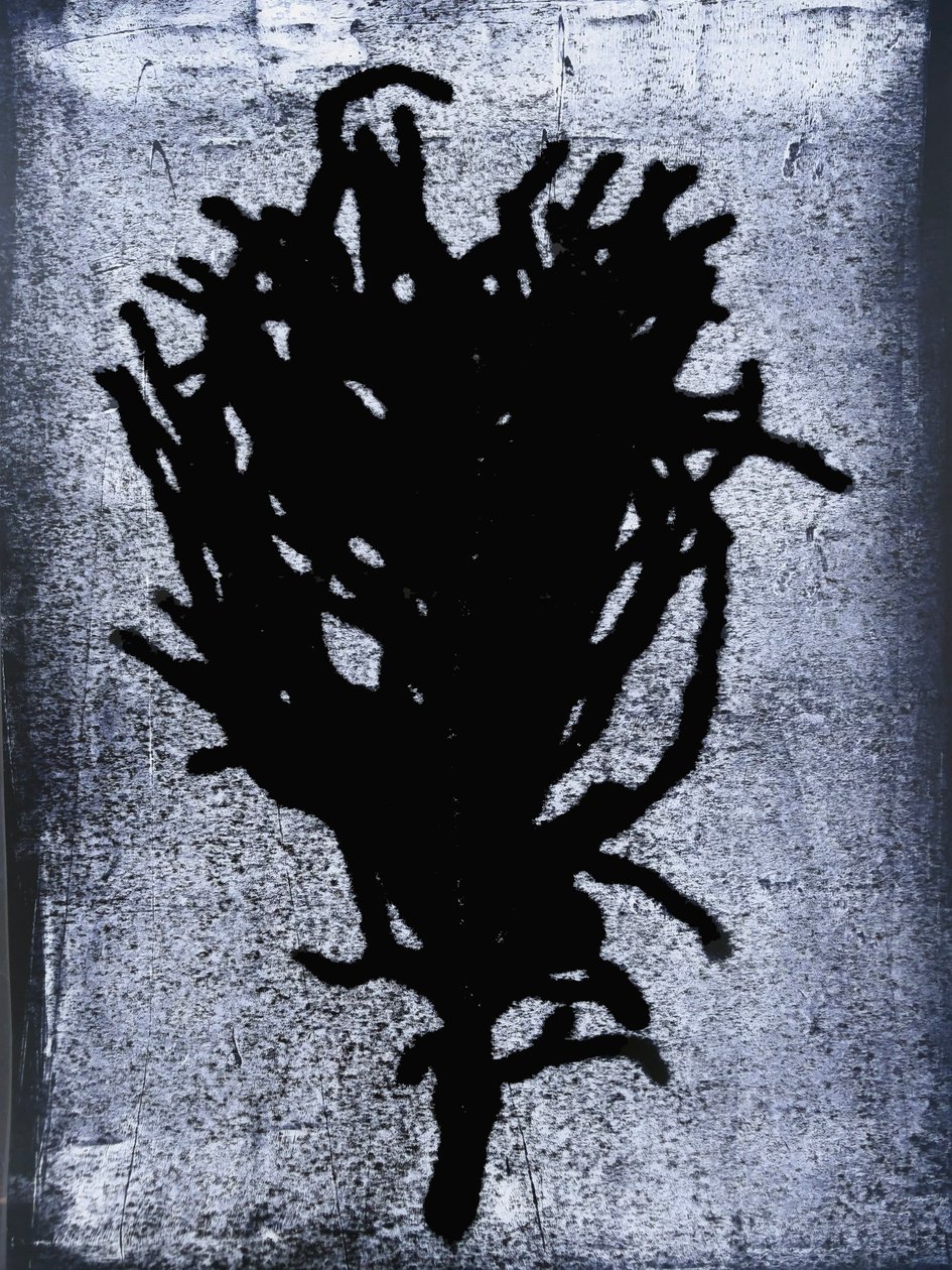 Feto preto 2020 (monoprint) de Sarah Thompson Engels
