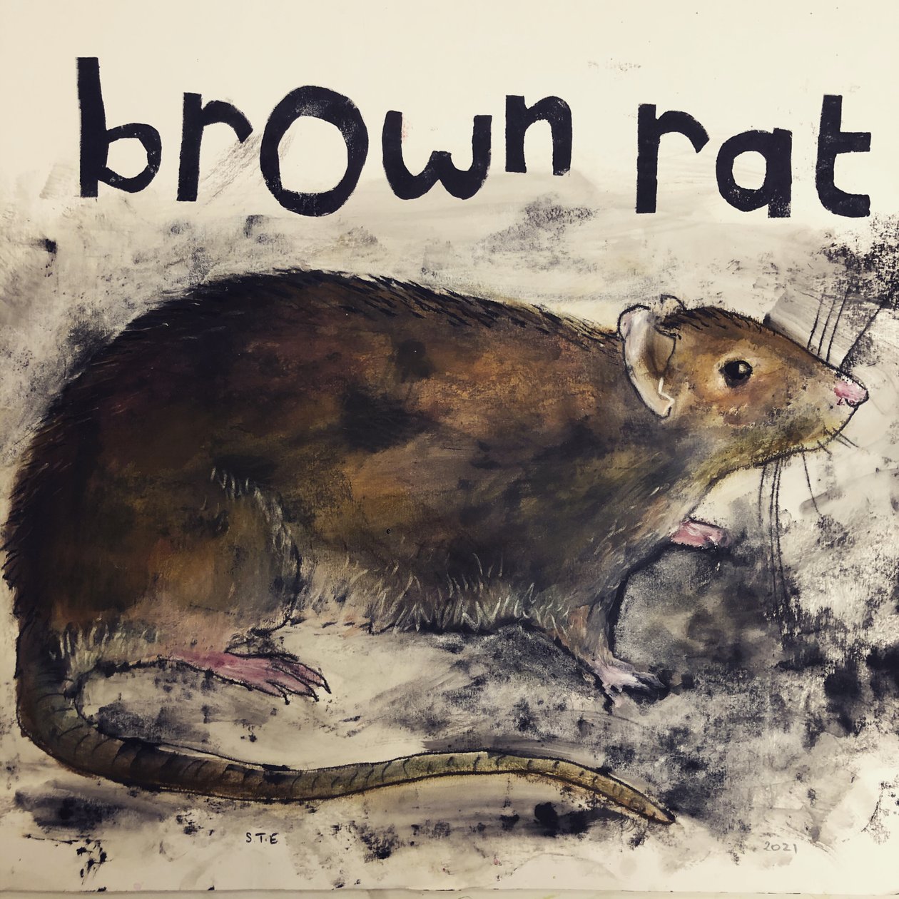 Rato castanho,2021,(tinta sobre papel) de Sarah Thompson Engels