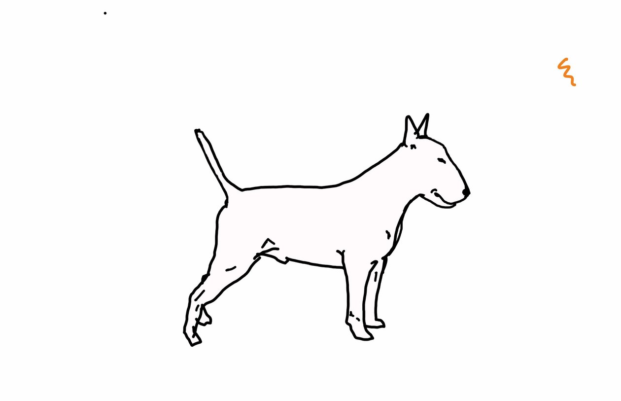 Bull terrier,2018,(desenho digital) de Sarah Thompson Engels