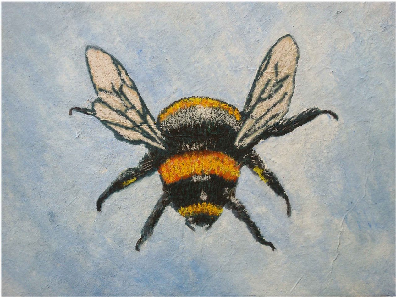 Bumble bee, 2015 (pastel & aquarela) de Sarah Thompson Engels