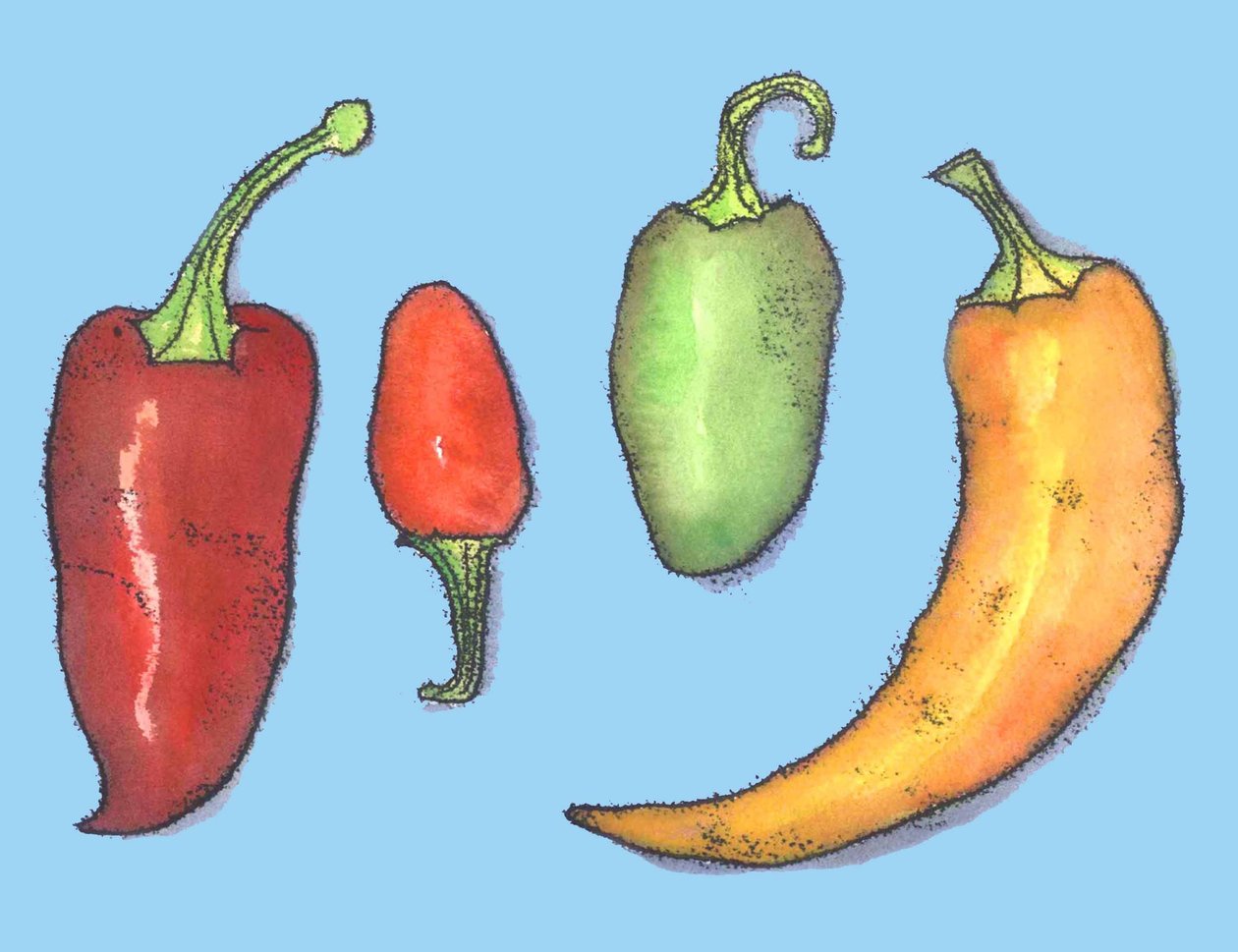 Chilli peppers,2013,(monoprint) de Sarah Thompson Engels