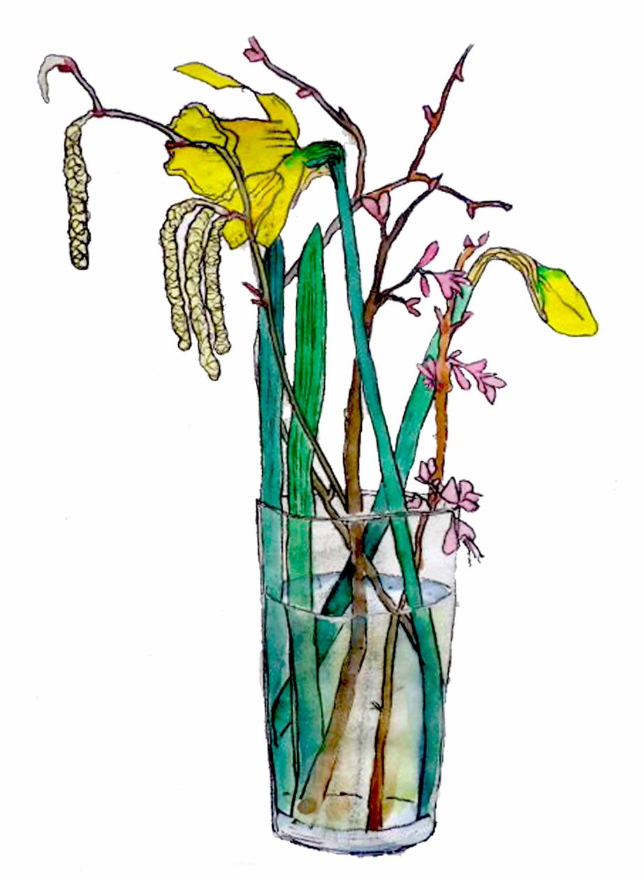 Daffodils e catkins,2018 (aquarela) de Sarah Thompson Engels