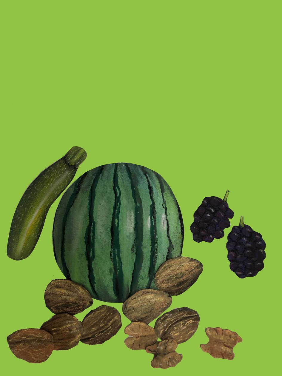 Frutas e legumes,2020,recorte de Sarah Thompson Engels