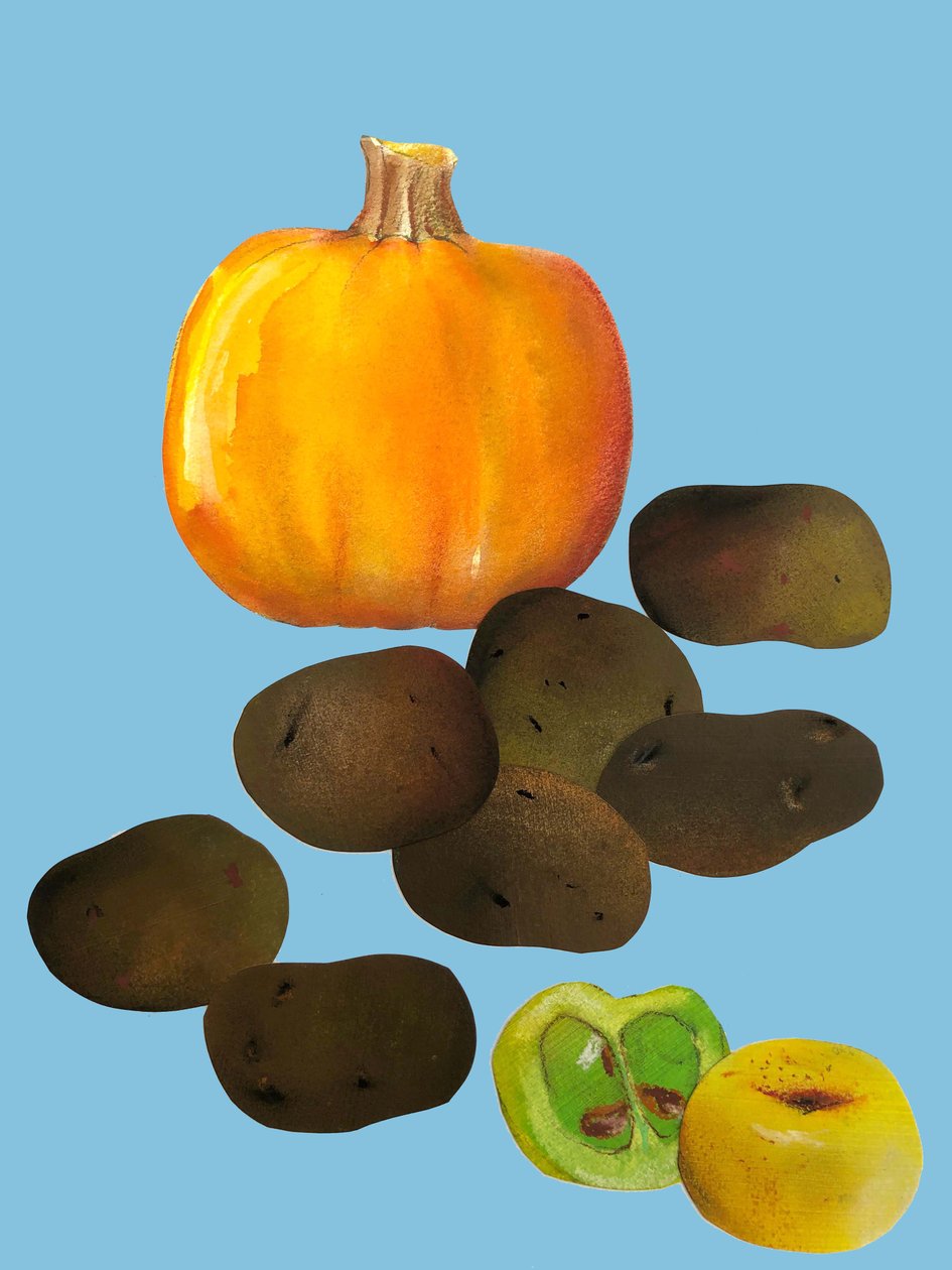 Frutas e legumes,2020,recortados de Sarah Thompson Engels