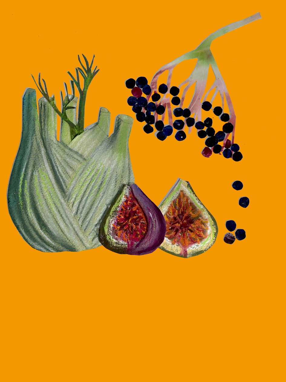 Frutas e legumes 2020 (cutout) de Sarah Thompson Engels
