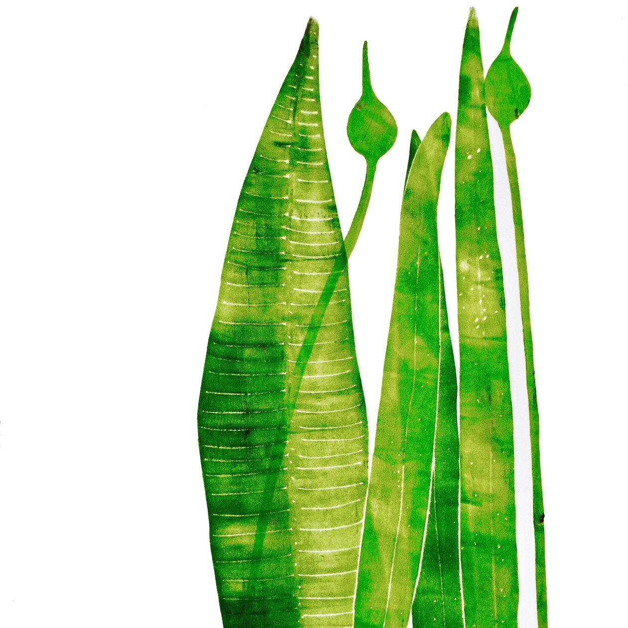 "Coisas verdes longas" (mono impressão) 2020 de Sarah Thompson Engels