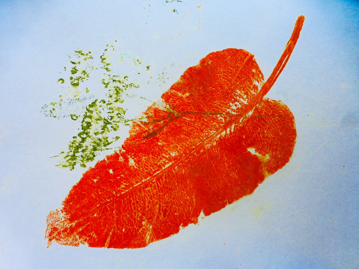 Folha laranja (monoimpressão em papel) 2020 de Sarah Thompson Engels