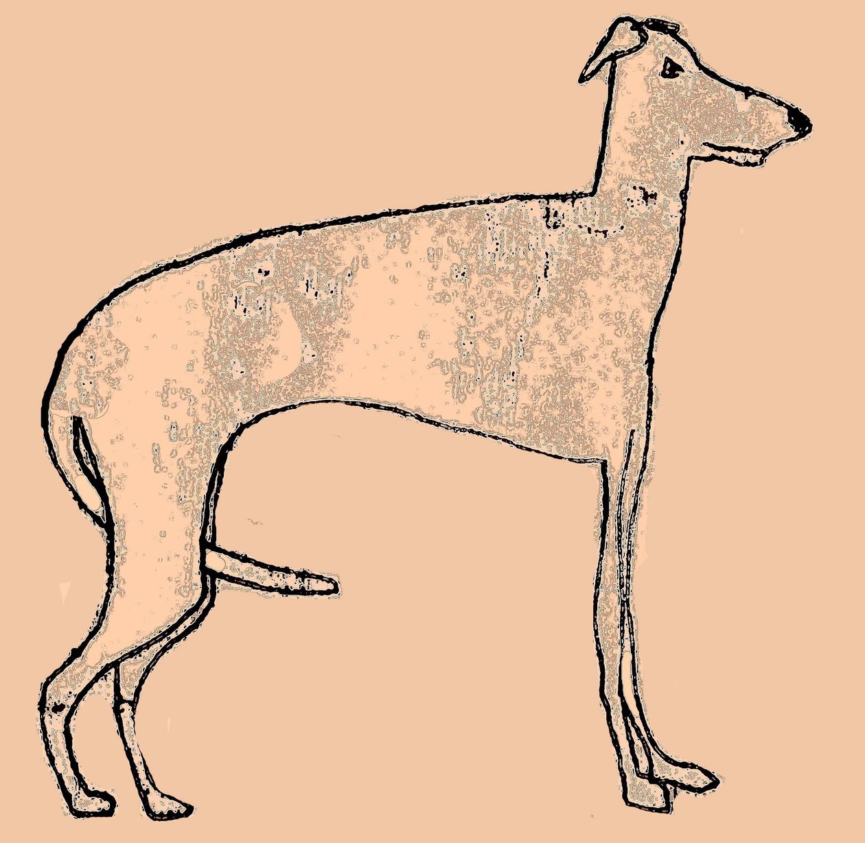 Cão magro de Sarah Thompson Engels