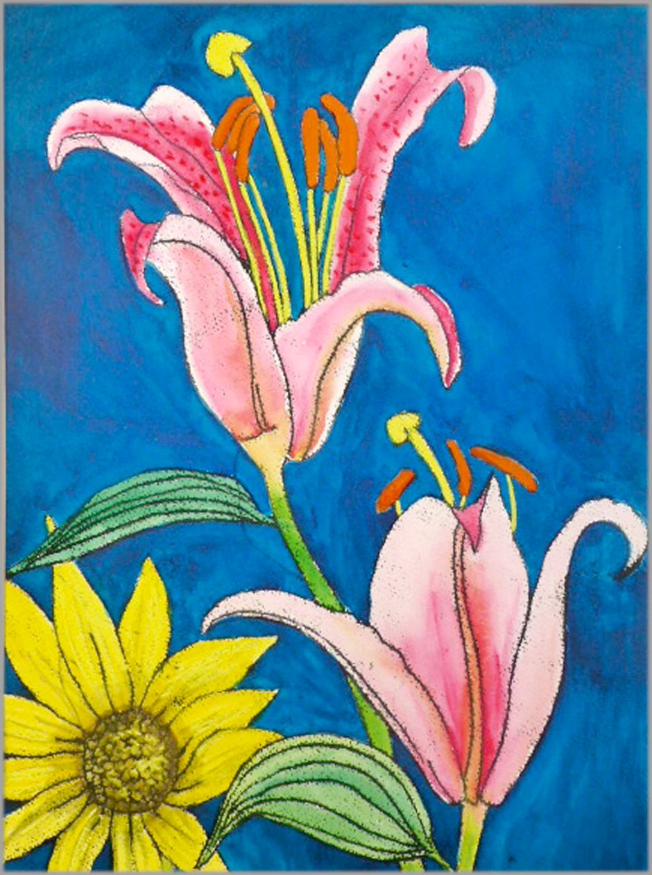 Stargazer de Sarah Thompson Engels