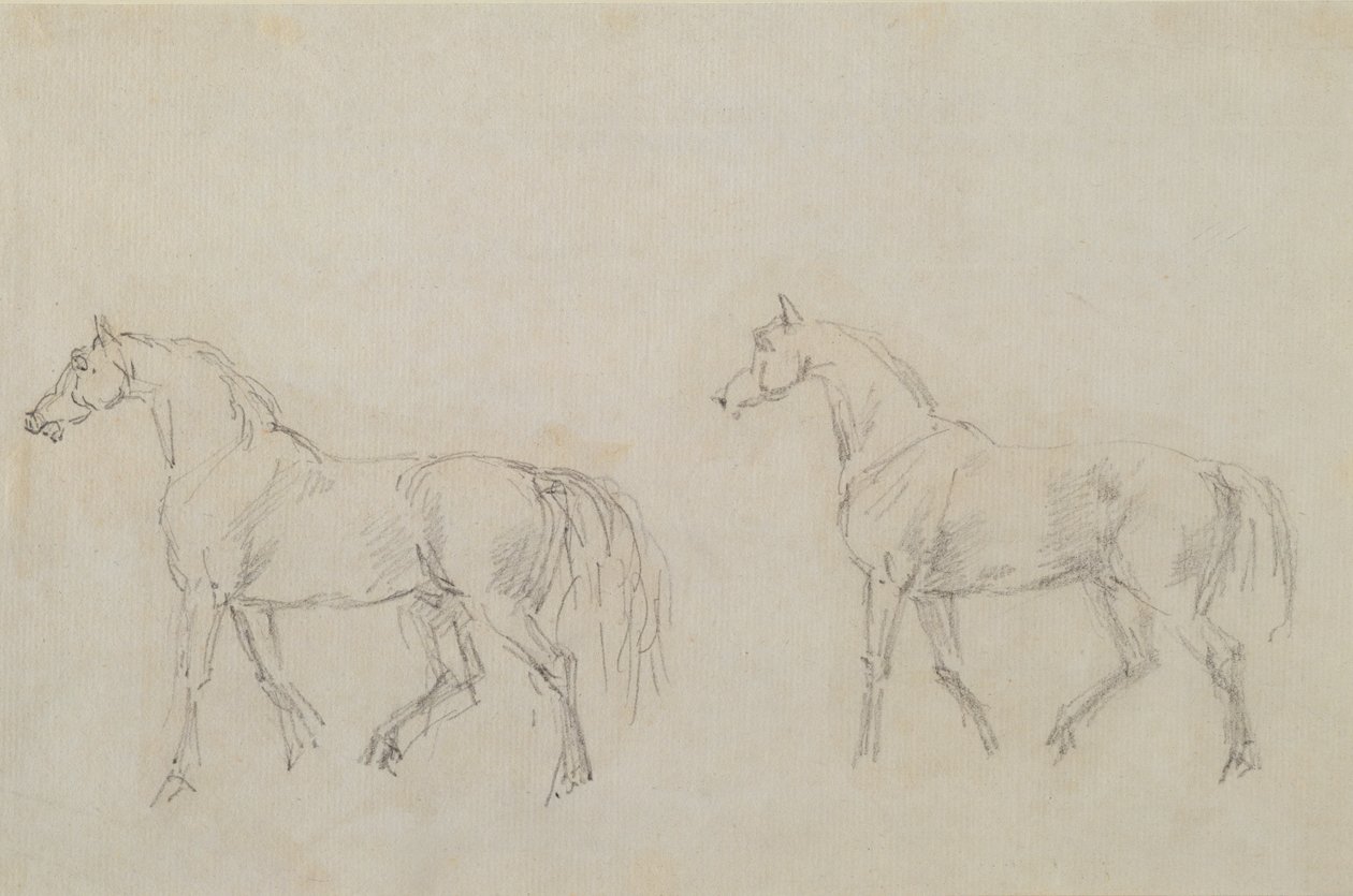 Dois cavalos andando à esquerda (grafite no papel) de Sawrey Gilpin