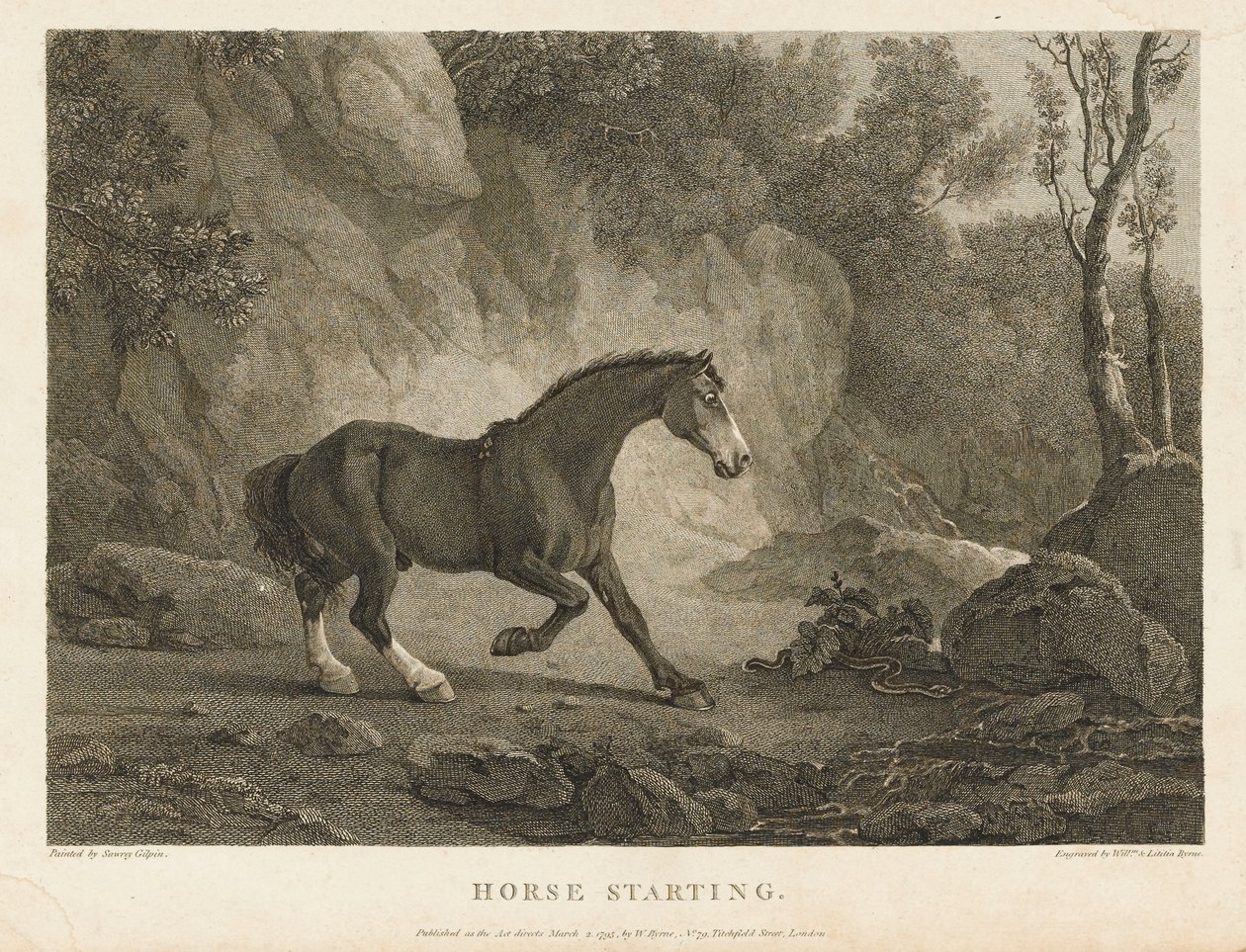 Arranque do cavalo (gravura) de Sawrey (after) Gilpin