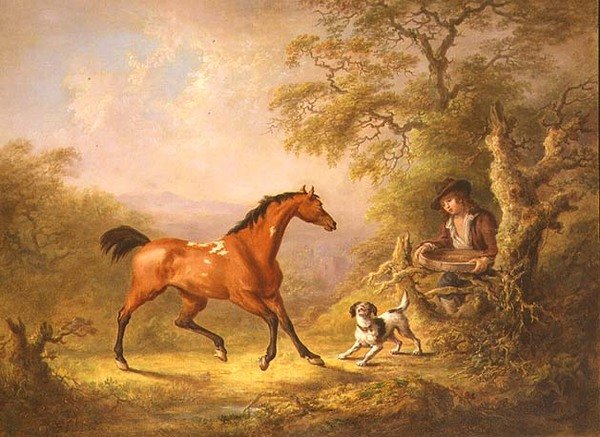 Um noivo alimentando um cavalo (óleo sobre tela) de Sawrey Gilpin