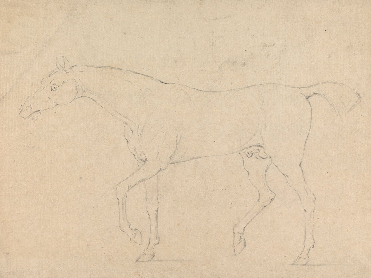 Um cavalo de Sawrey Gilpin