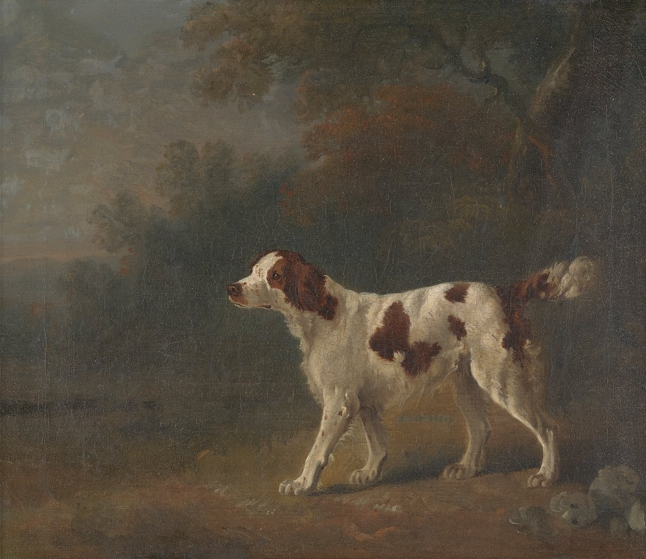 Um Setter na Ponta de uma Madeira de Sawrey Gilpin