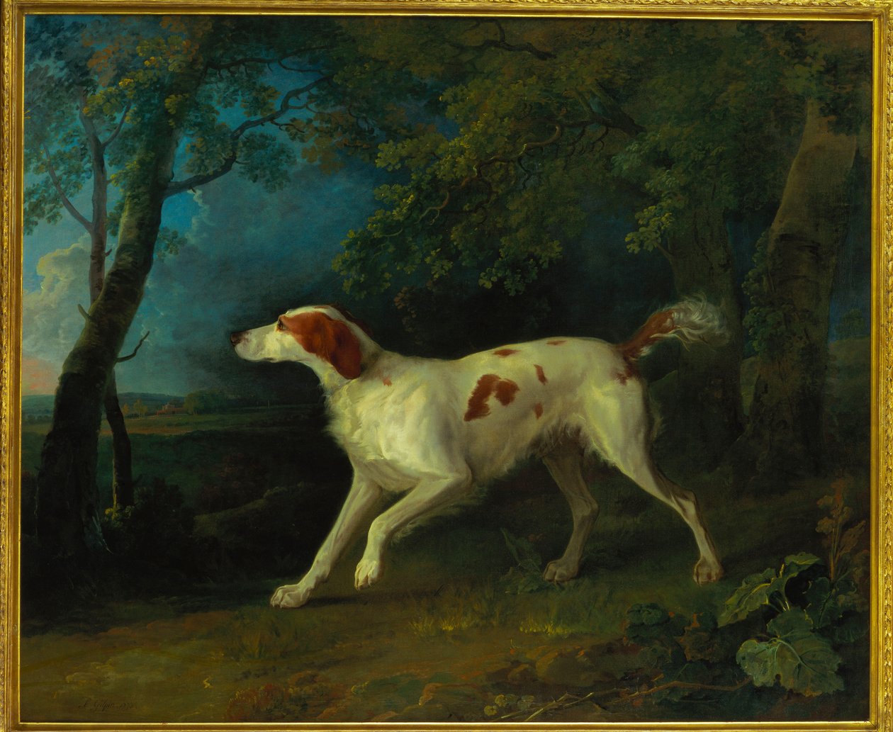 Um setter marrom e branco em uma paisagem arborizada, 1773 de Sawrey Gilpin