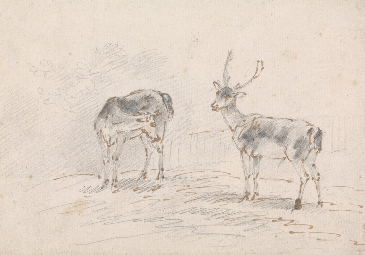 Corça e Buck de Sawrey Gilpin