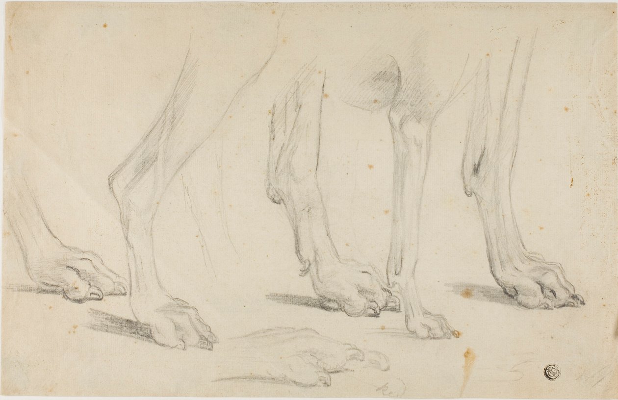 Patas de cachorro de Sawrey Gilpin