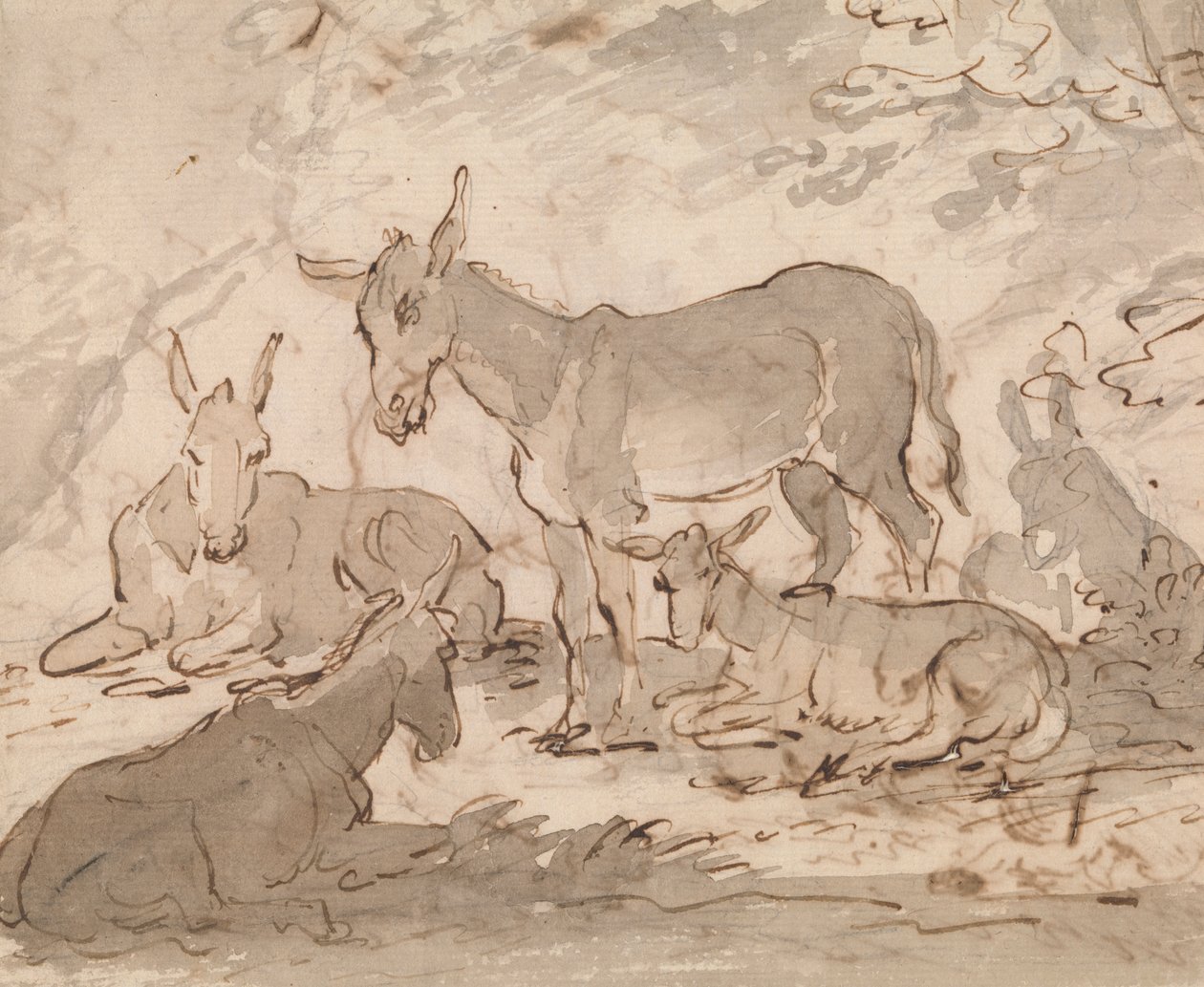 Burros de Sawrey Gilpin