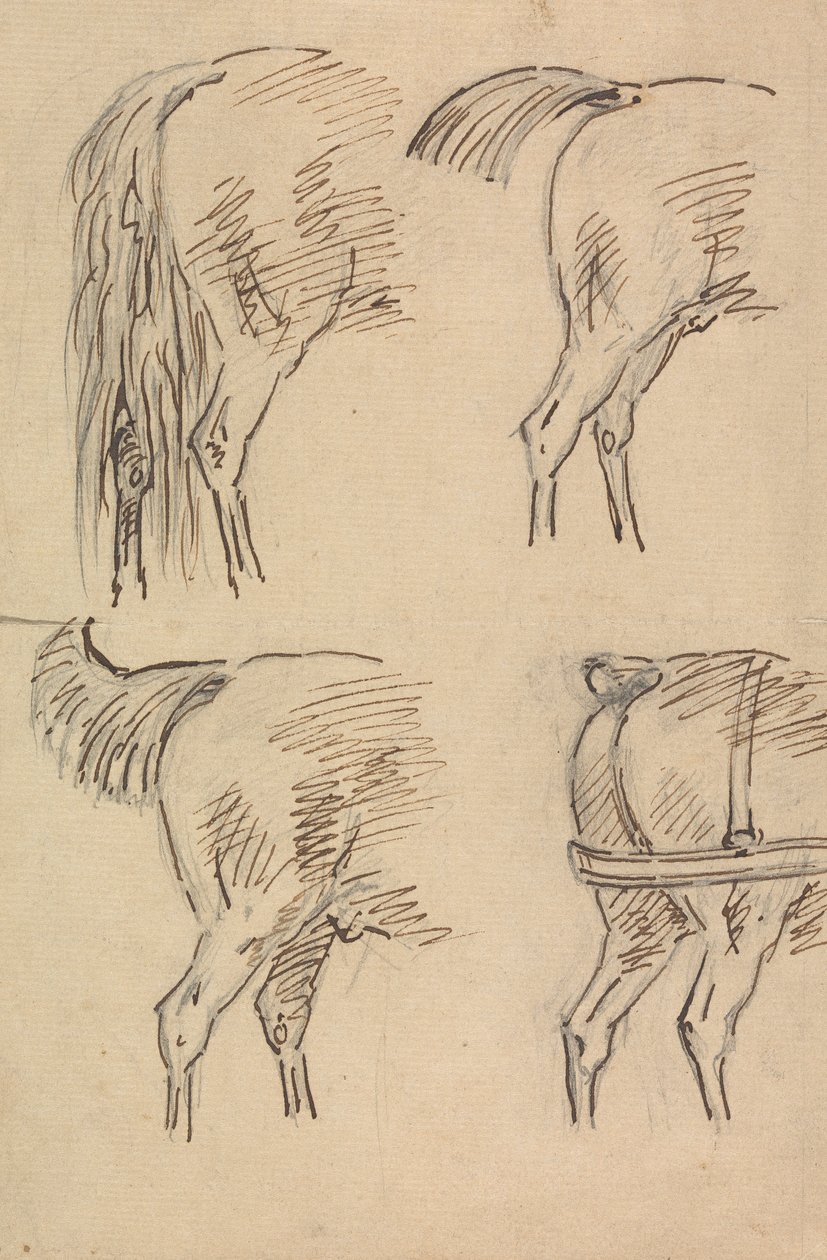 Quatro Esboços de Cavalos de Traseiro de Sawrey Gilpin