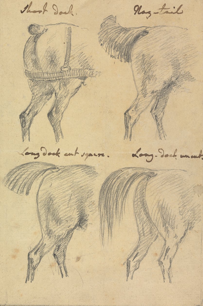 Quatro Esboços de Caudas de Cavalo de Sawrey Gilpin