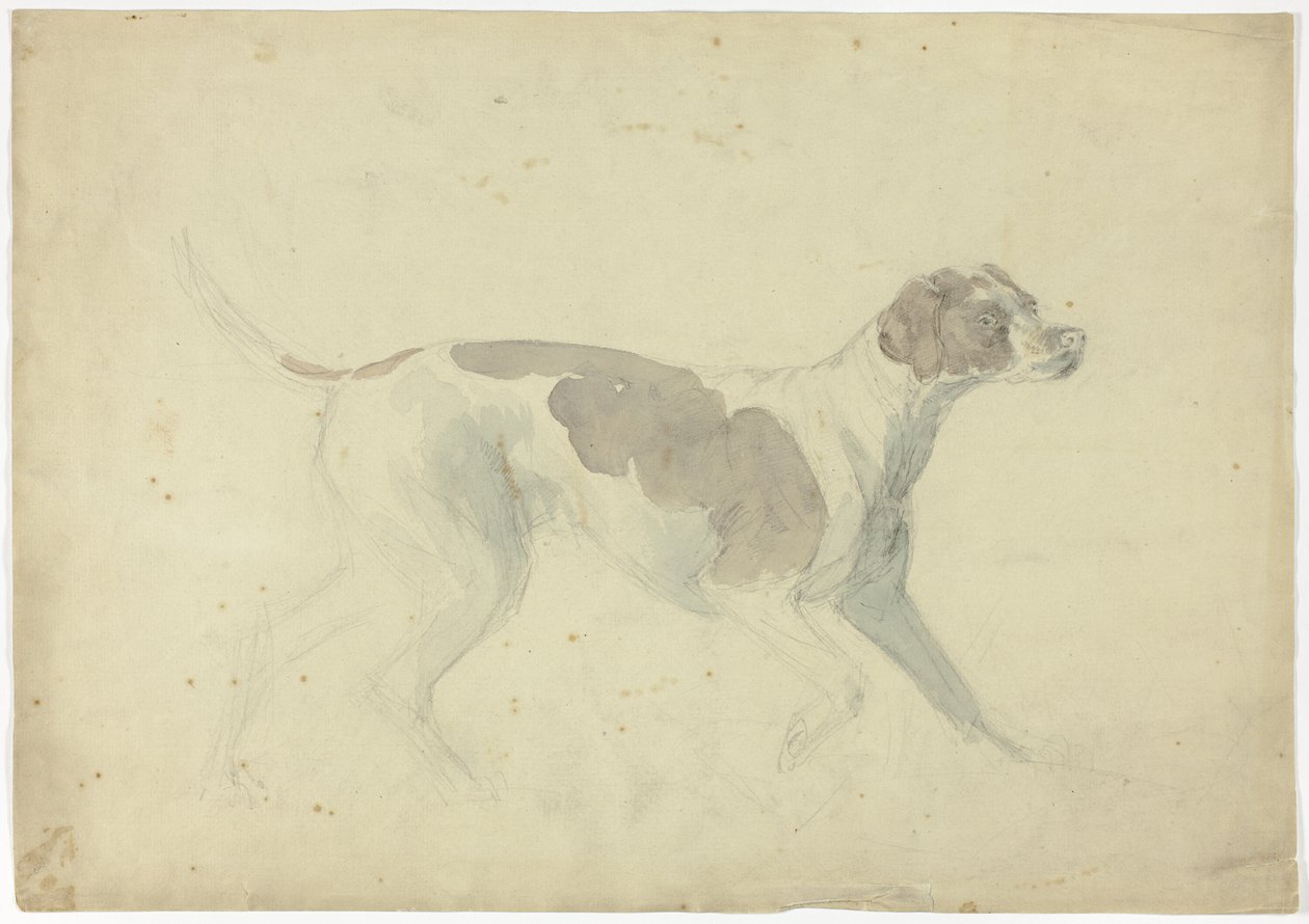 Cão de caça (frente); esboços de cavalo e cavaleiro (verso) de Sawrey Gilpin