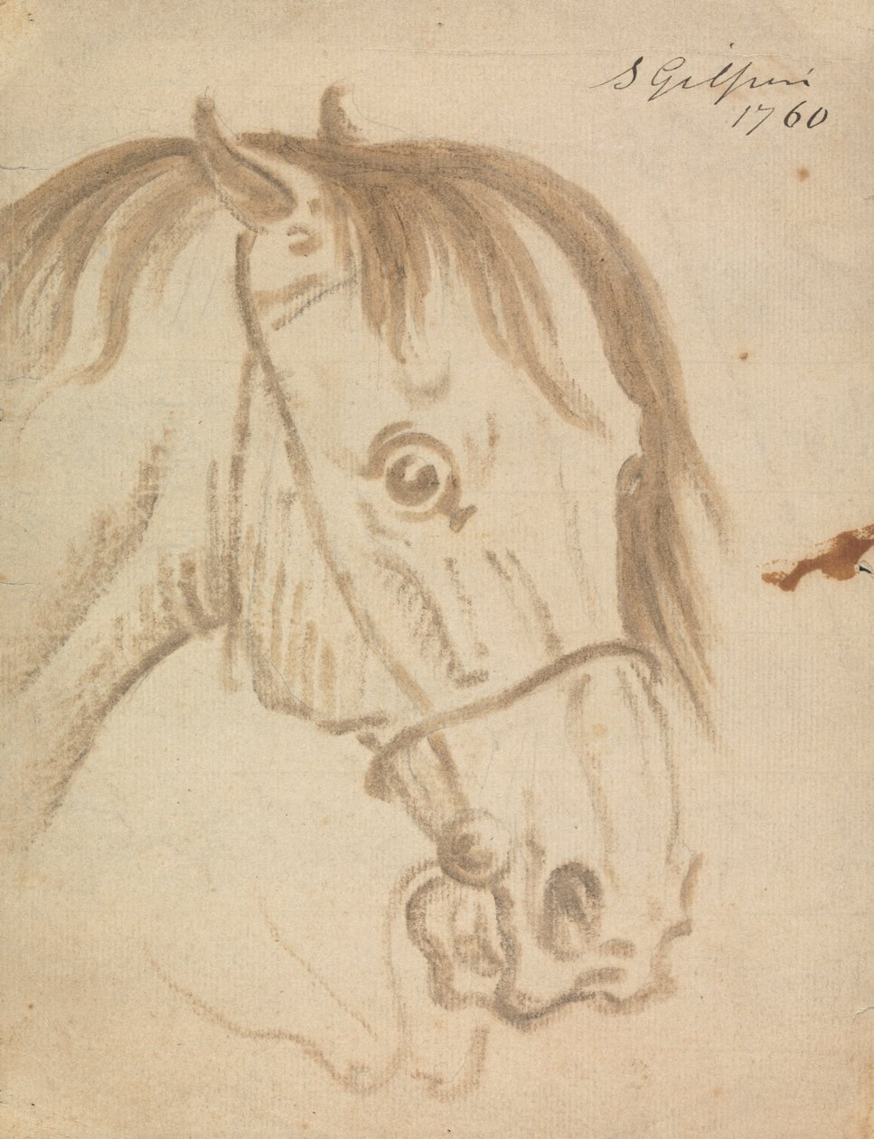 Cabeça de um cavalo de Sawrey Gilpin