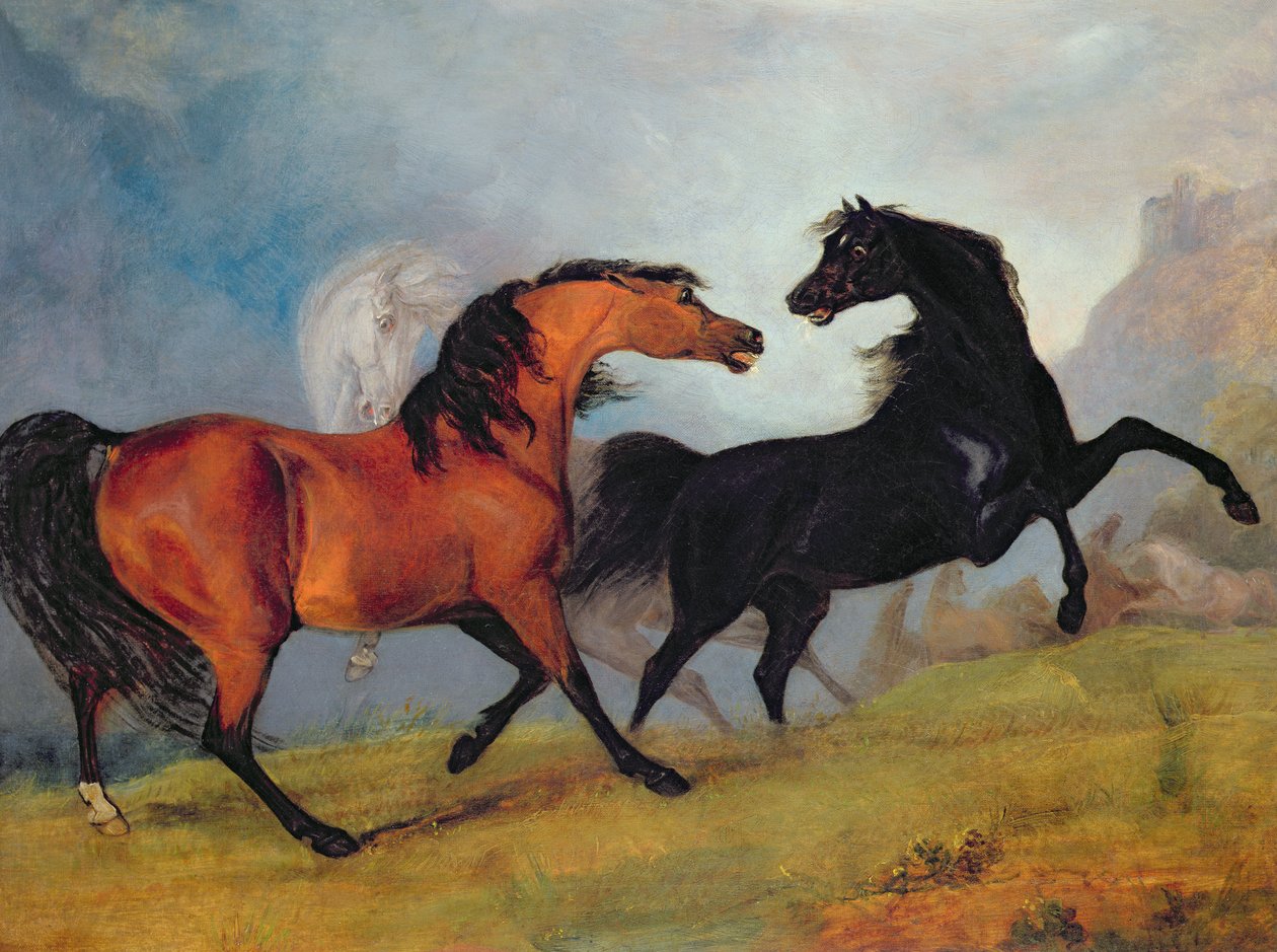 Cavalos lutando de Sawrey Gilpin