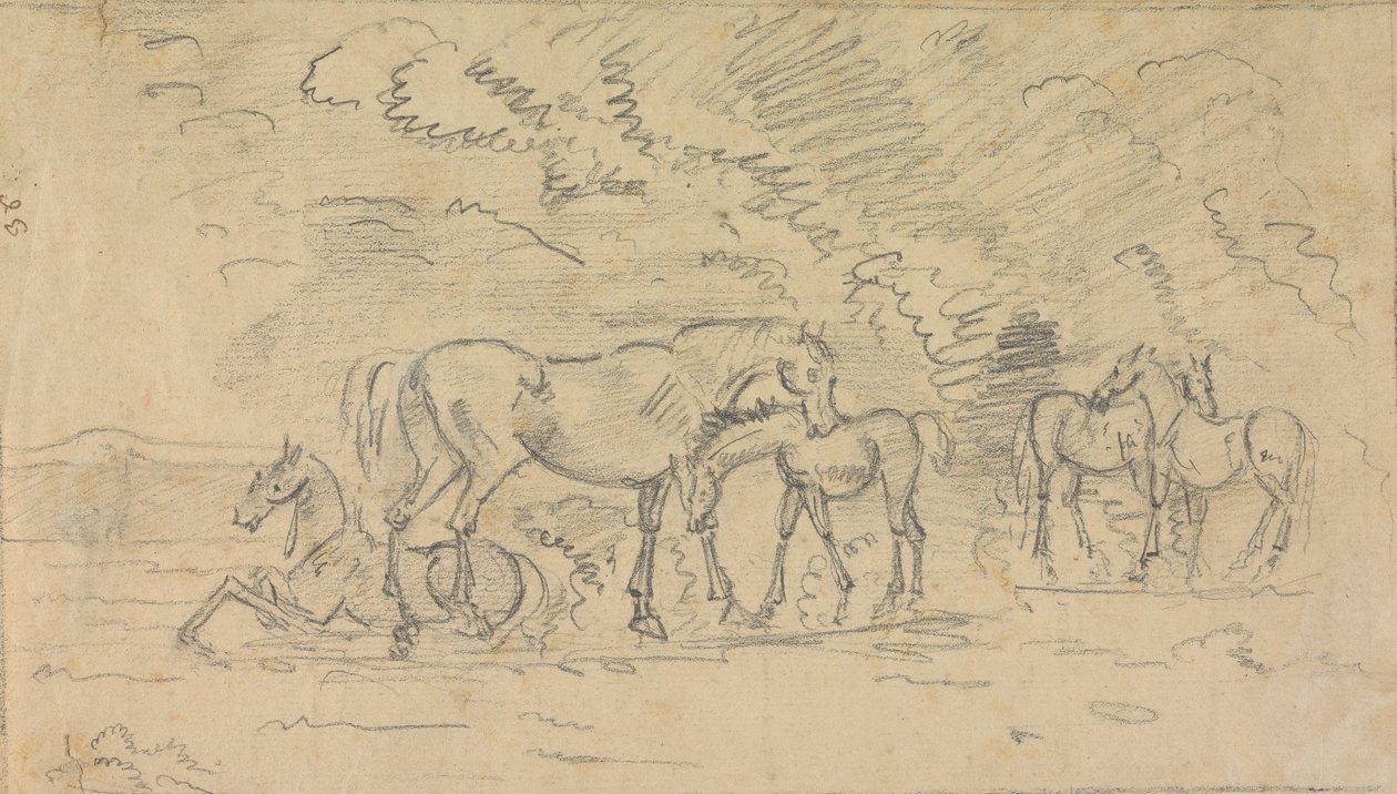 Cavalos num prado de Sawrey Gilpin