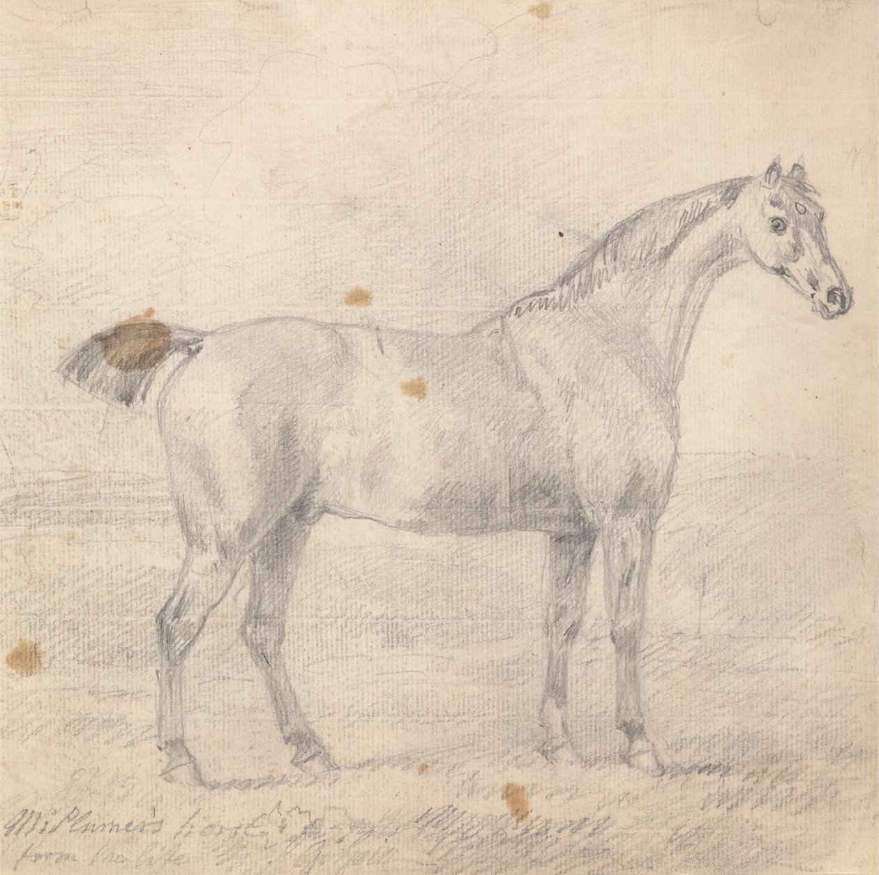 Sr. Cavalo de Plumer de Sawrey Gilpin