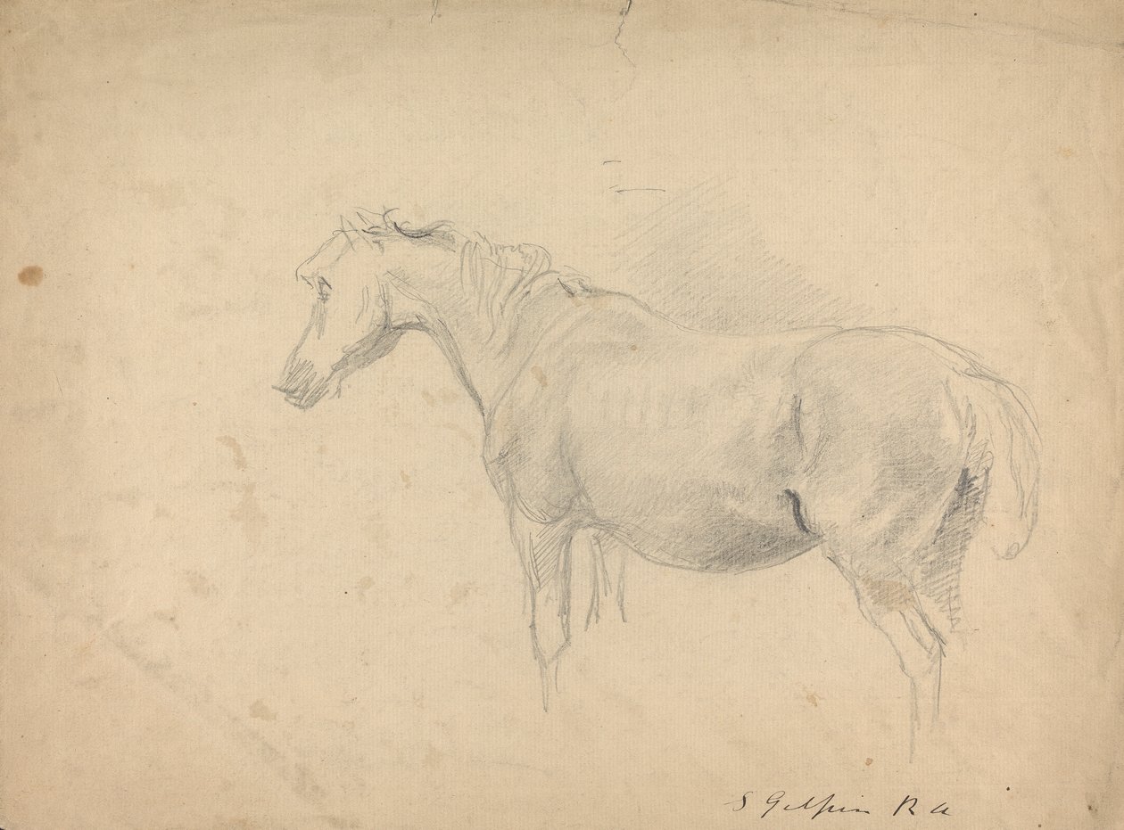 Esboço de um cavalo de Sawrey Gilpin