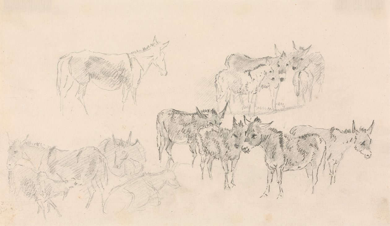 Estudos de burros de Sawrey Gilpin