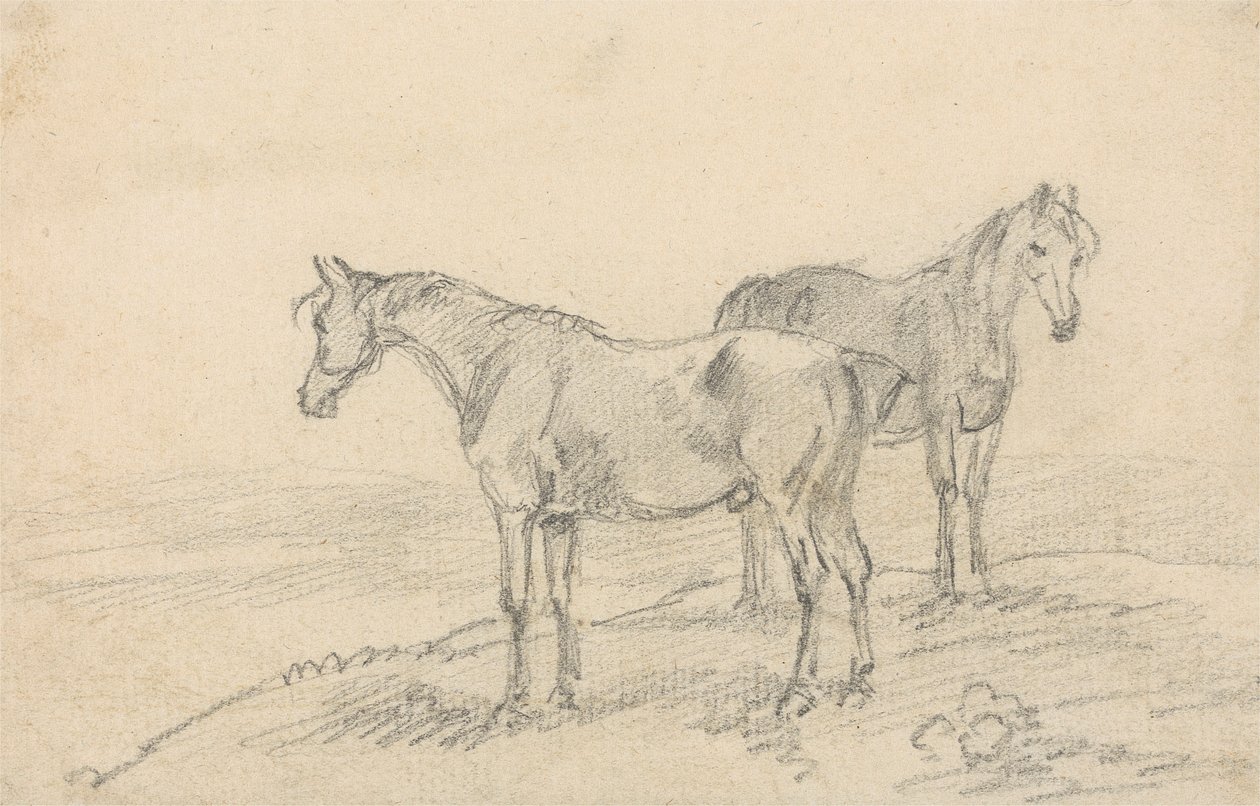 Dois Cavalos de Sawrey Gilpin
