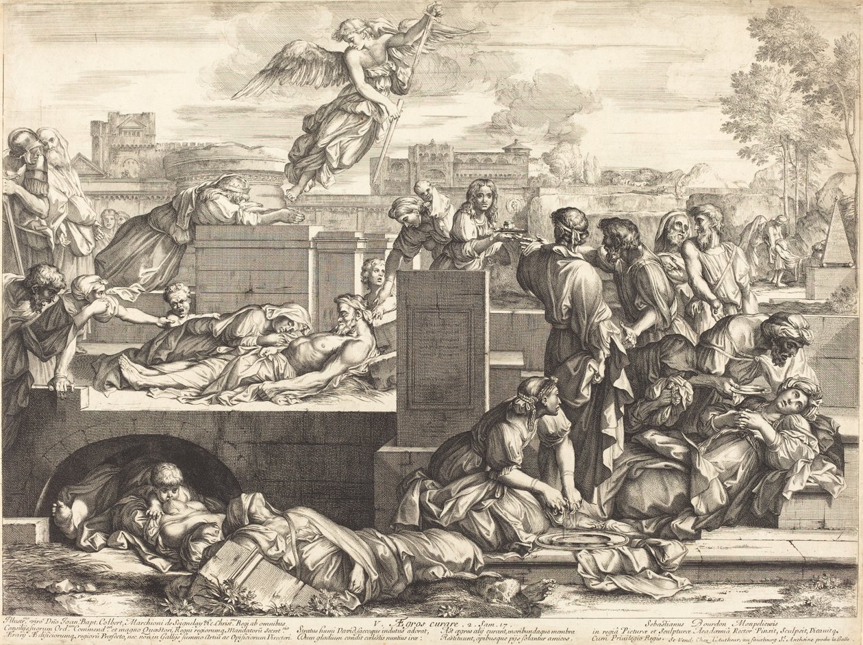 Aegros Curare de Sébastien Bourdon