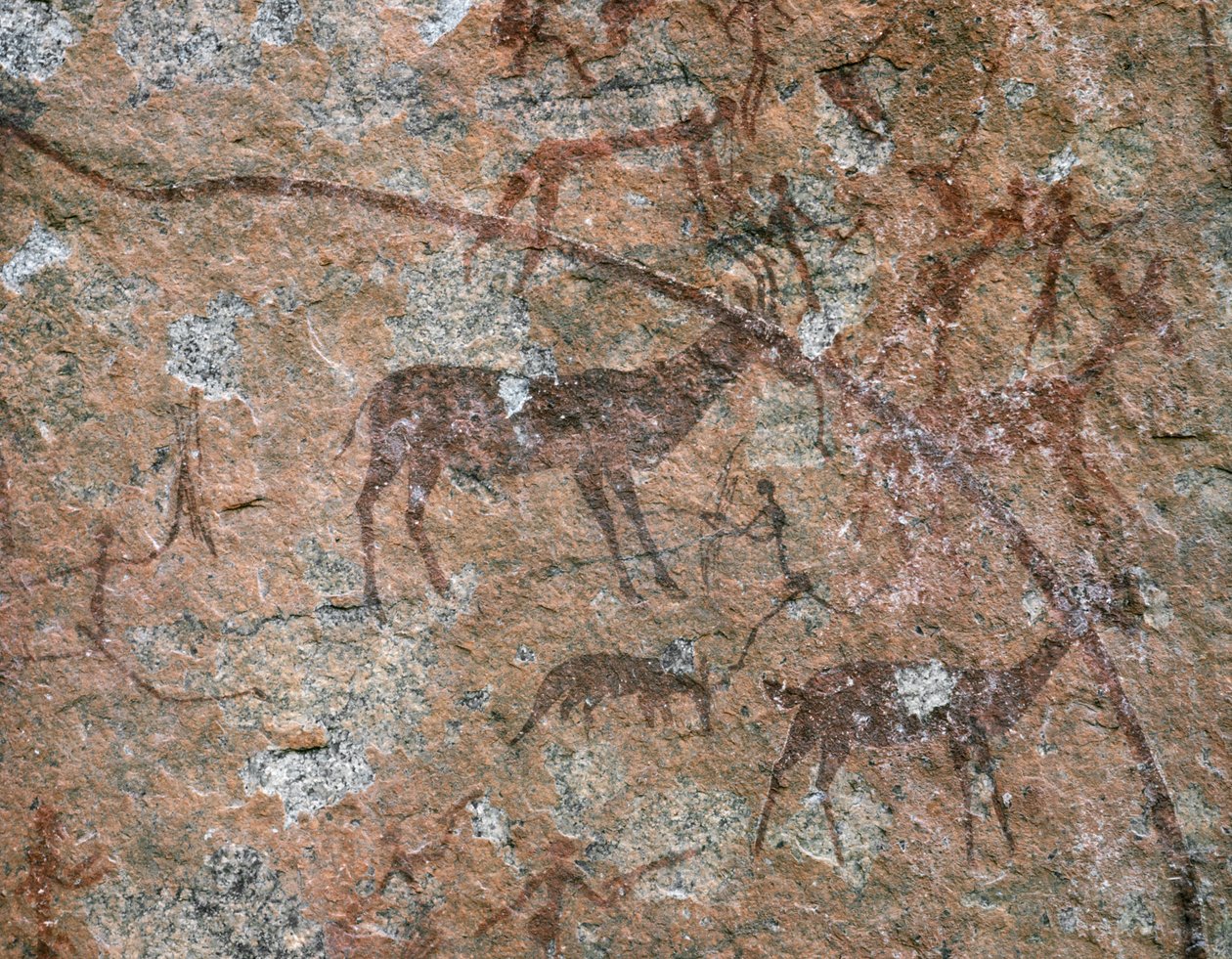 ARTE AFRICANA: Pintura rupestre em Ngomo Carera, na cordilheira de Domboshawa, 20 milhas a norte do mar... (fresco) de School African
