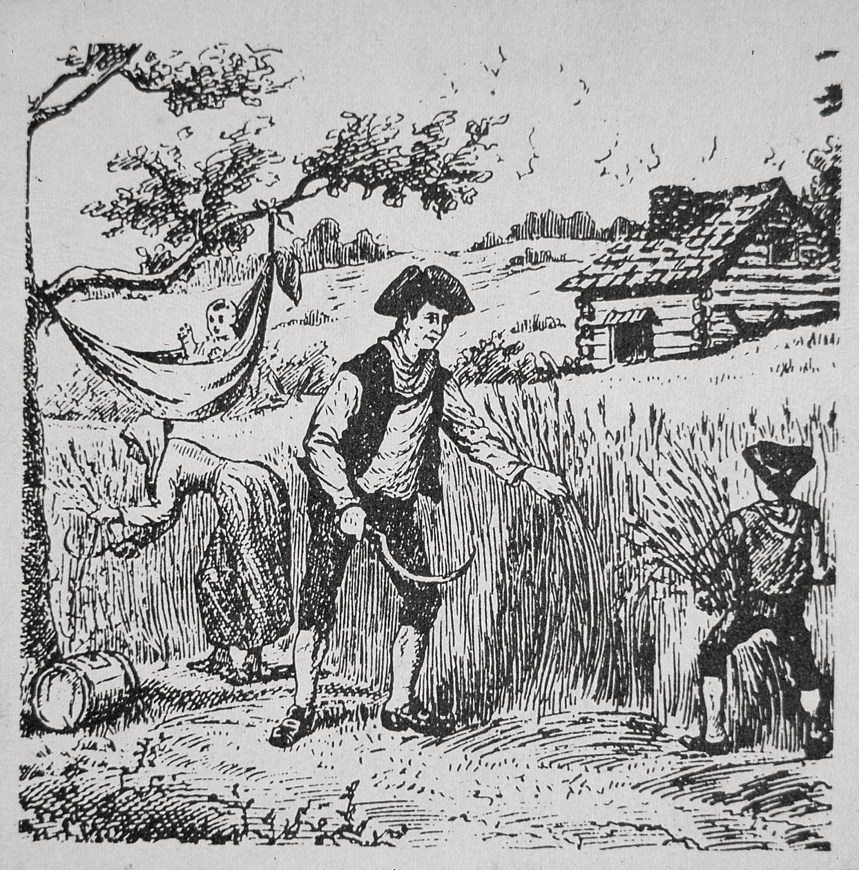 Uma colheita familiar de milho (litho) de School American