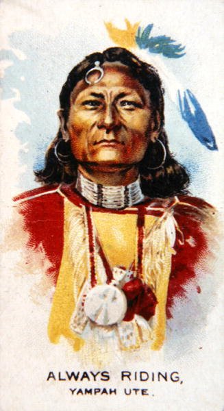 "Sempre a Montar" (cor litho) de School American