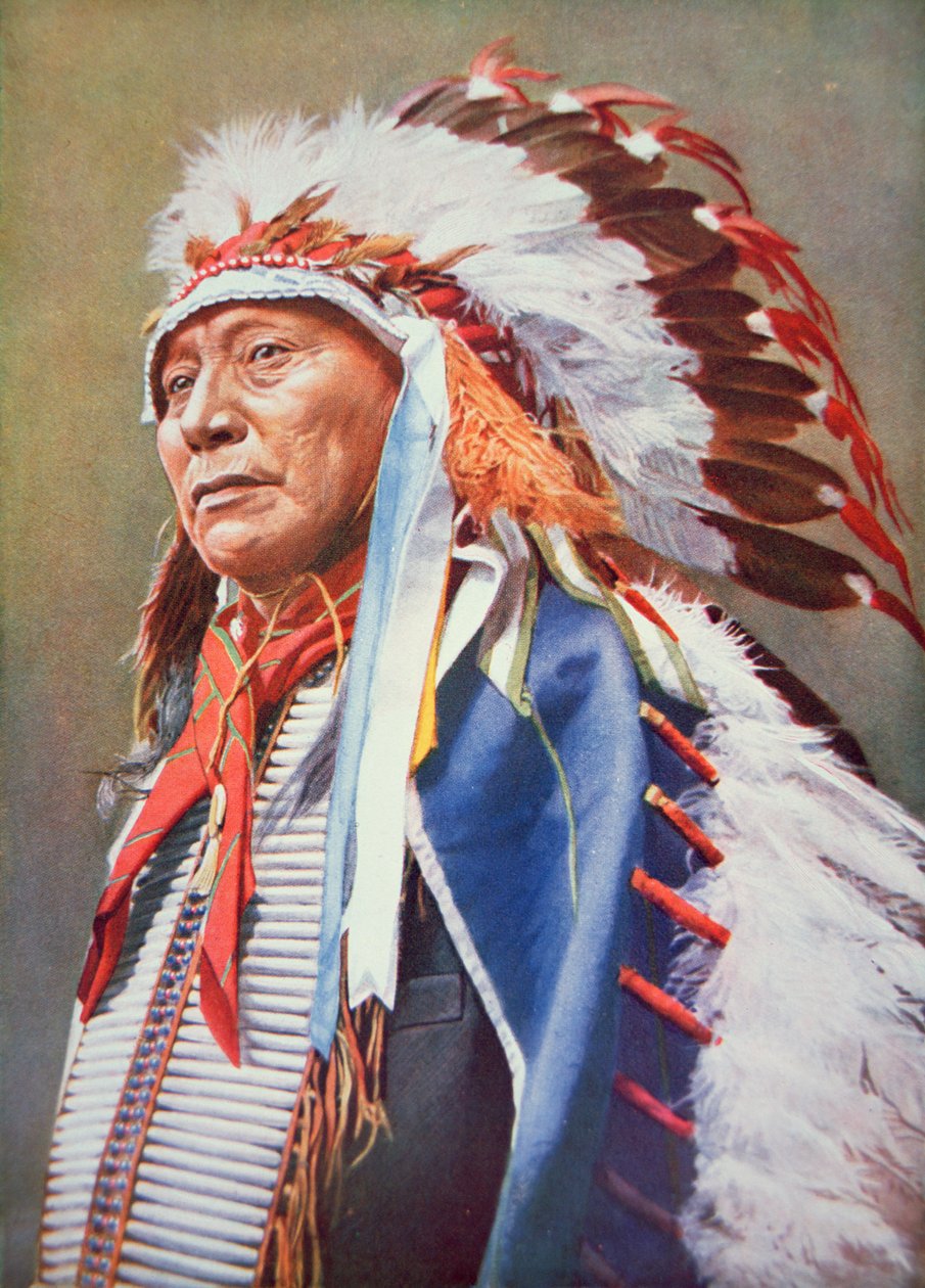 Chief Hollow Horn Bear (1850-1913) (cor litho) de School American
