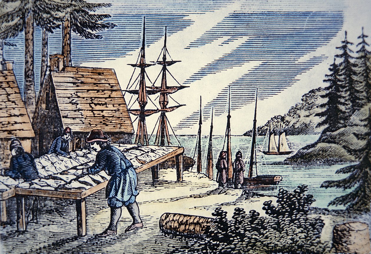 Pescadores que secam bacalhau na Nova Inglaterra, a partir de uma talha do século XVII (cor litho) de School American